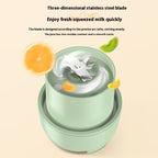 Portable Multifunctional Household Fruit Electric Juicer